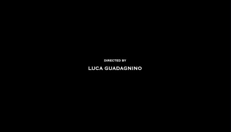 SALVATORE FERRAGAMO SPRING/SUMMER 2021 WOMEN’S AND MEN’S COLLECTION Fashion film still cut by Luca Guadagnino