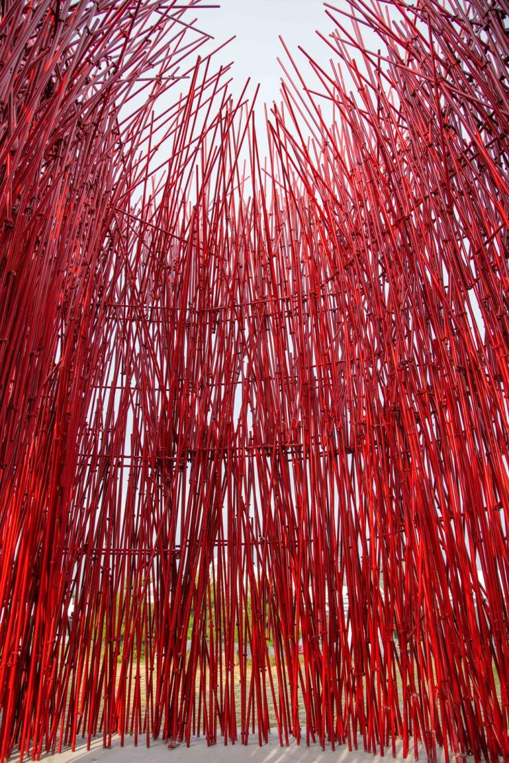 젊은달와이파크, 붉은대나무