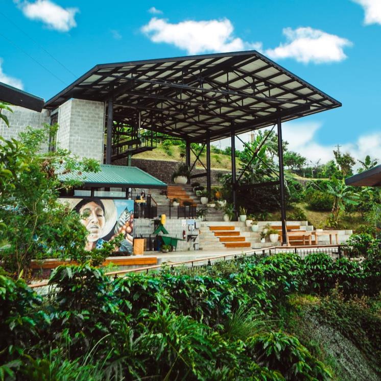 Costa Rican Coffee Farm Costa Rica @haciendaalsacia