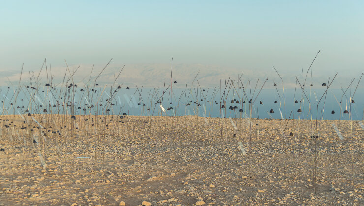 Courtesy of the Fondation Louis Vuitton © Adagp, Paris 2019 ‘아니미타스: 사해’, 이스라엘 사해(Dead Sea, Israel), 2017, HD 비디오, 컬러, 사운드 – 10시간 33분.