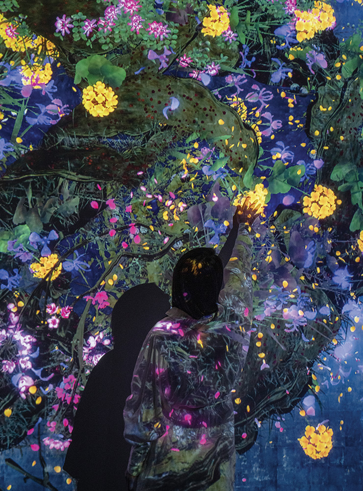 teamLab, Continuous Life and Death at the Crossover of Eternity ⓒteamLab 