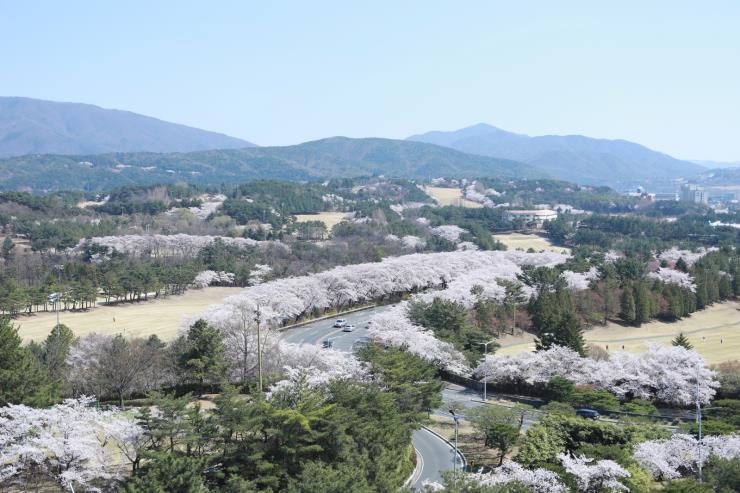 사진 출처: 경주문화관광 홈페이지(www.gyeongju.go.kr)