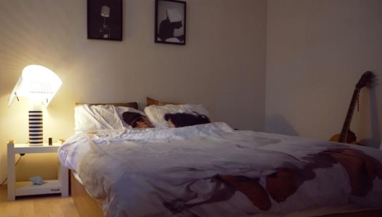 반려묘를 위한 최적의 동선, 깔끔하고 안락한 무드를 갖춘 침실.