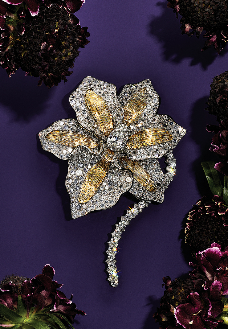 3캐럿 이상의 메인 다이아몬드와 18K 옐로 골드 붓 터치 디테일이 돋보이는 브로치. 