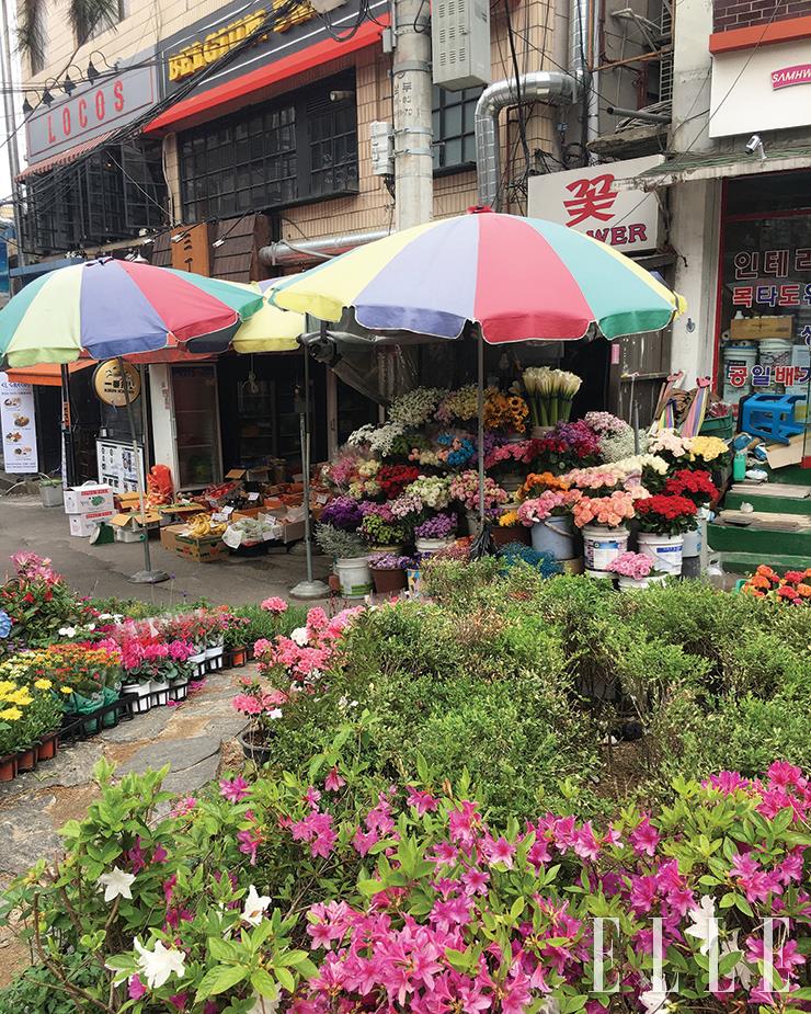 2015년, 경리단길 초입에 있던 꽃 가게.  