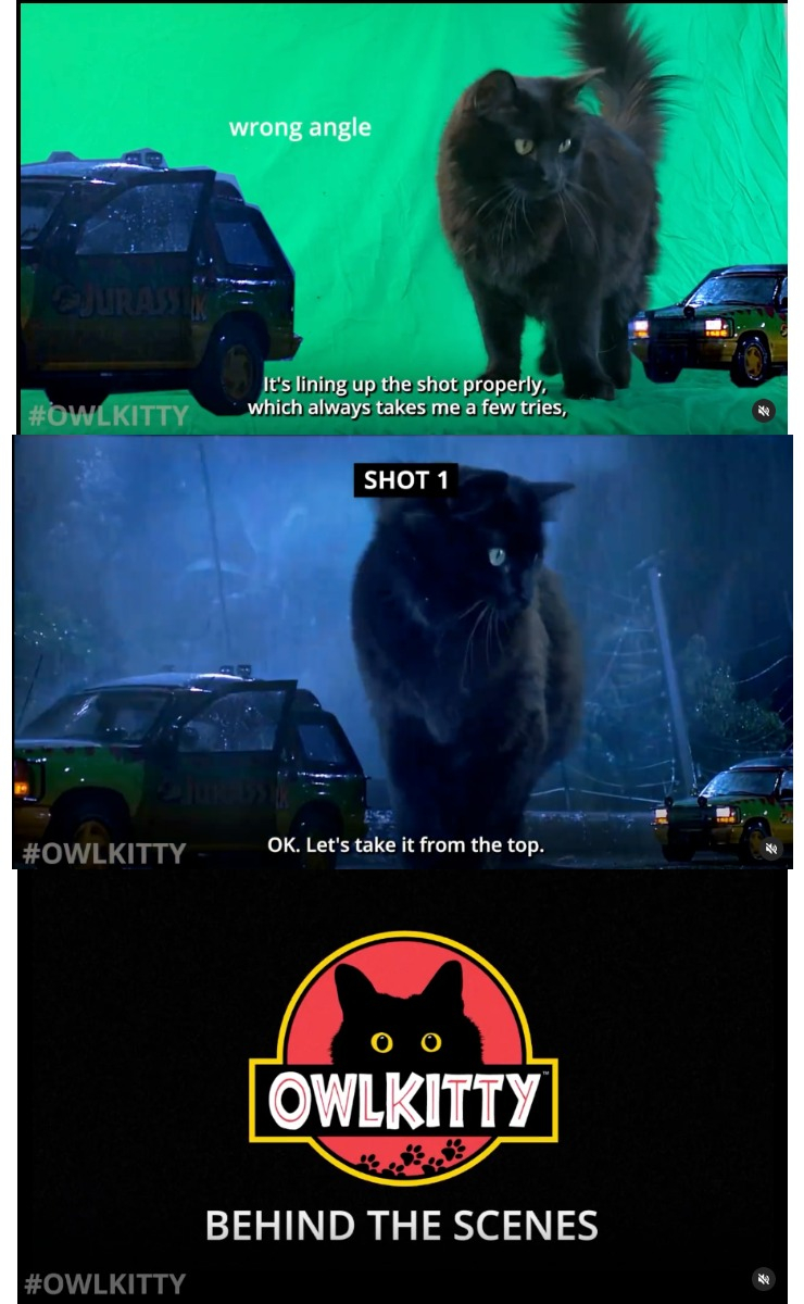 owl-kitty.com